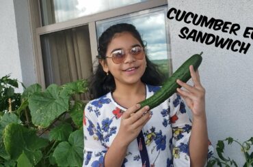 Easy Cucumber Egg Sandwich by Amreen | How to make a Healthy Sandwich