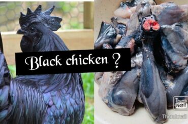 Black chicken Gravy | Karung kozhi | Healthy recipes in tamil | Traditional Food tamil