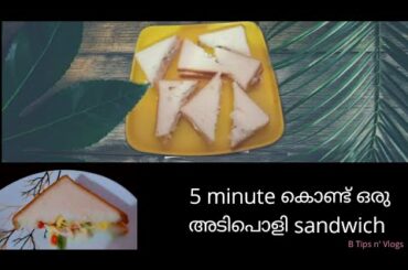 Healthy Sandwich in 5 minute|Malayalam|B Tips n' Vlogs|