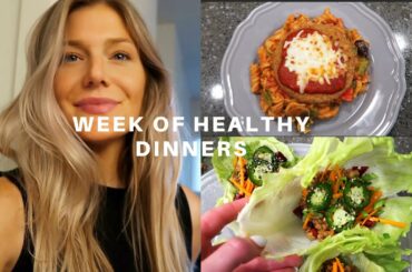 Dietitian Student's Week of Healthy & Affordable Dinner Recipes!
