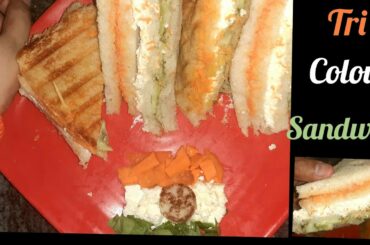how to make tiranga sandwich/tricolour sandwich/healthy salad sandwich/Easy Independence Day recipe