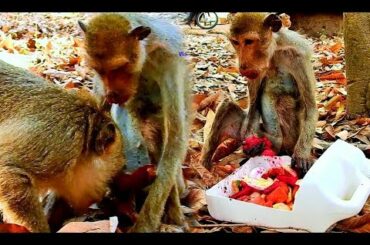 Feeding Skinny Man With Healthy Food And Fruit He Like The Most, His Friend Come To Visit