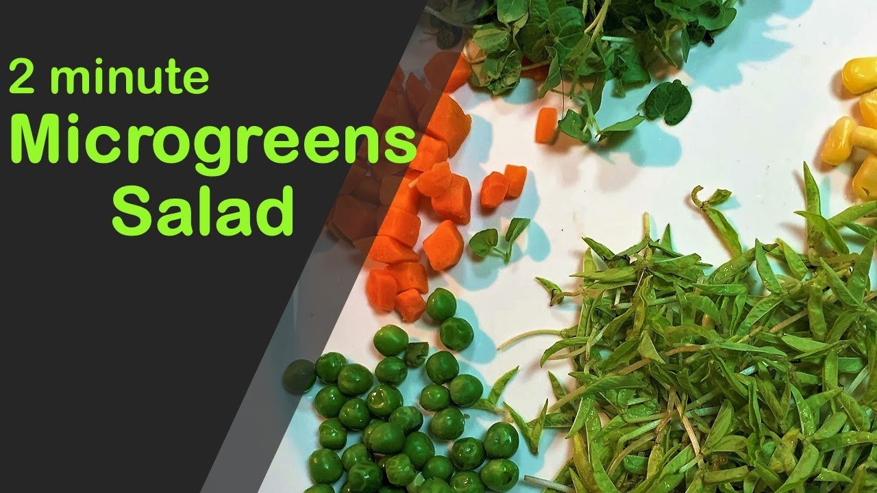 2 Min MICROGREENS SALAD / Healthy Salad Recipe – R.No 104 2 Min MICROGREENS SALAD / Healthy Salad Recipe - R.No 104