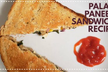 Bachelors Recipe | 2 Minute Breakfast | Palak Paneer Sandwich | Healthy Sandwich Recipe