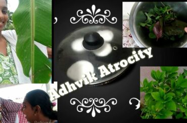 Adhvik atrocity|DIML vlog Healthy recipe |gardening |Pradhisamayal episode #104