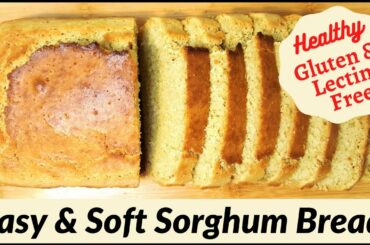Gluten-Free and Lectin-Free Sorghum Bread (Jowar Bread): Quick, Healthy, & Delicious