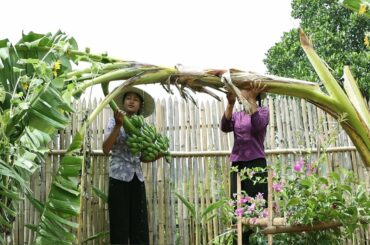 Healthy food from Green banana Recipe - Yummy Banana frying for Healthy snacks in my home