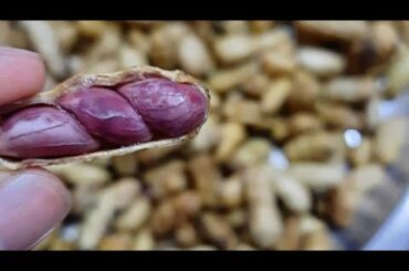 Moong phali (Boiled peanuts) Easy tasty and Healthy snacks recipe in urdu hindi