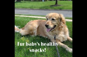 Your Fur baby's Health matters! Healthy snacks recipe coming soon!!!!