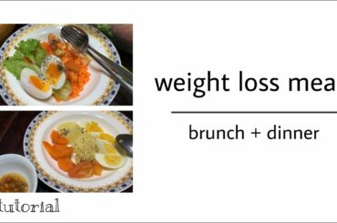 weight loss journey | healthy meals (day1)