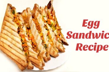 Sandwich Recipe | Egg Sandwich Recipe | Roasted Sandwich Recipe | Hyderabadi Ruchulu