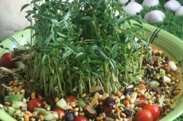 Microgreens Salad - A tasty, wholesome and healthy recipe for all (Vegan, Live Food)