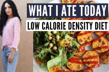 Everything I Ate Today on a Low Calorie Density Diet (Healthy way to lose weight!)
