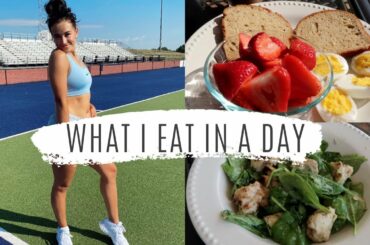 WHAT I EAT IN A DAY | quick, easy, healthy recipes | Nikki Oppenheimer