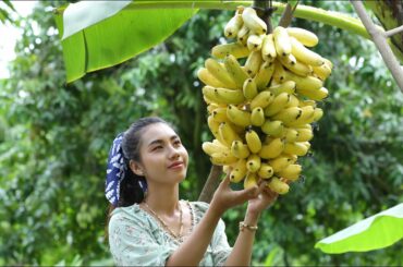 Harvest yellow banana in my homeland and make banana cake - Healthy food