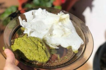 Healthy Breakfast Recipe | Weight Loss | Neer Dosa & Coriander , Coconut & Mint Chutney