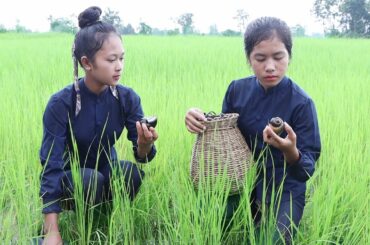 Enjoy the snail food I picked in the field - Healthy food with Nisa Lifestyle
