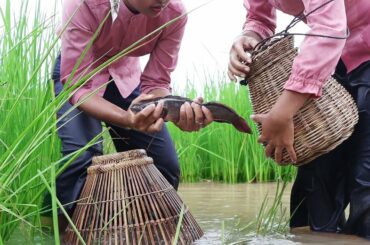 Happy with Traditional fishing In the field - Healthy food with Nisha Lifestyle
