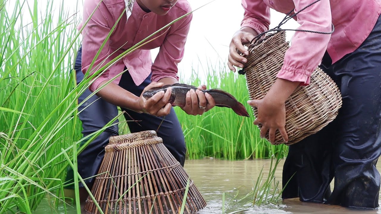 Happy with Traditional fishing In the field – Healthy food with Nisha Lifestyle Happy with Traditional fishing In the field - Healthy food with Nisha Lifestyle