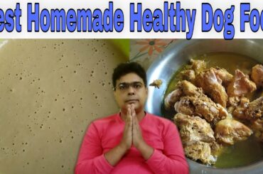 Best Homemade Healthy Dog Food || Homemade Puppy Food Recipes - Happypet