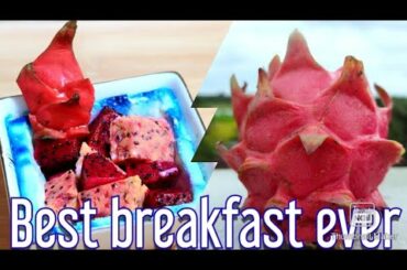 dragon fruit. oil free breakfast recipe. fruits pudding . healthy breakfast recipe. healthy foods.