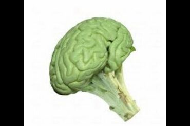 Brainwash Children To Eat Healthy Food - like Broccoli !