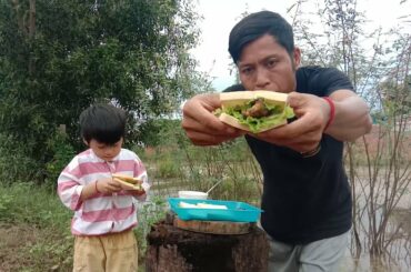 Easy Food Yummy: Cooking frogs Sandwich  - 13 Healthy Sandwich Recipe for Weight loss / Daily Show