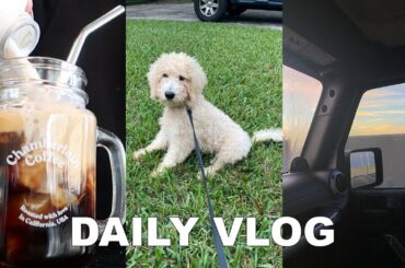VLOG: life with a 12 week old puppy, cooking healthy meals, & lots of school