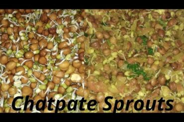 Healthy breakfast recipe|| healthy masaledar sprouts||  chatpati sprouts recipe|| sampoorna rasoi||