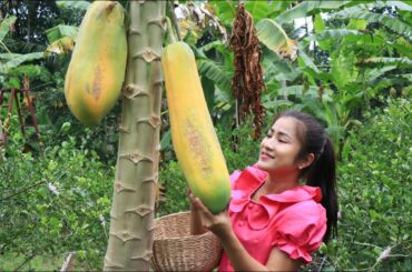 Pick Ripe Papaya Behind Grandma's House / Easy And Healthy Food Recipe