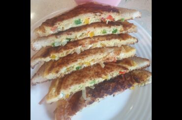 VEGETABLE BREAD TOAST/BREAD TOAST/HEALTHY BREAD TOAST