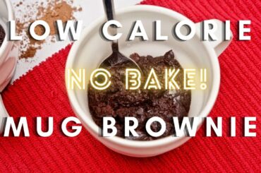 Low Calorie Chocolate Mug Brownie: Stop craving chocolate sweets with this!