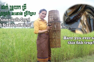 Have you ever use this fish trap? Healthy food- Natural fish with Luffa Gourd soup at my homeland.