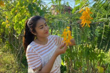 Yummy healthy food cooking / Fresh ingredient around home / Cooking with Sreypov