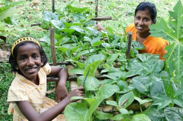 Healthy village lunch with spinach recipes | Spinach omelette and spinach dal curry