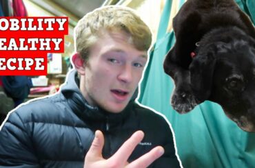 Do THIS Mobility Routine | Healthy Recipe For Fat Loss | Nutrition Coaching