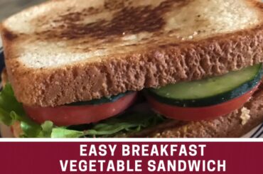 Raw Vegetable sandwich || Easy breakfast recipe || Healthy breakfast option.