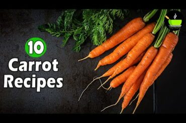 10 Best Carrot Recipes | Easy Carrot Recipes | Gajar Recipes | Healthy Carrot Recipes| Instant Snack