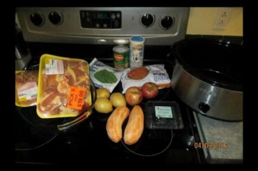 Slow Cooking Homemade Dog Food - Healthy Home Cooking for Dogs