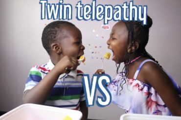 Twin Telepathy making healthy salads challenge