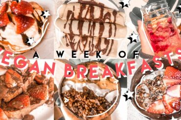 VEGAN (HEALTHY) BREAKFAST IDEAS  / a week of vegan breakfasts