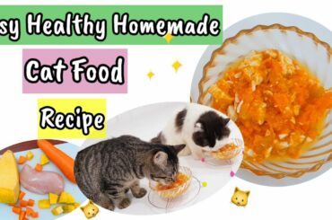 Easy Healthy Homemade Cat Food Recipes| Cat Leo #kittens #cats #catfood #homemadecatfood #catvideo