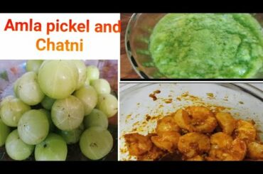 Healthy Recipes of Amla pickel and Chatni/ for good health