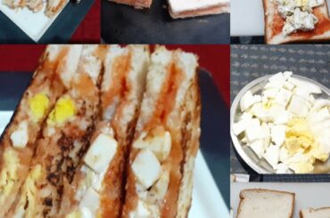 Quick Break fast boiled egg sandwich Recipes