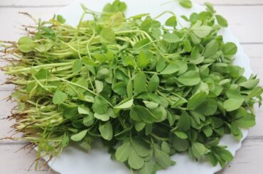 Breakfast /Yummy Breakfast Recipe / Yummy Recipe / Healthy Breakfast Recipe/Indian Breakfast