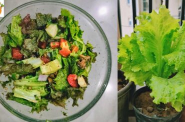 Mexican Salad/ Healthy Salad Recipe/ Easy and quick Recipe/ Pompy's kitchen