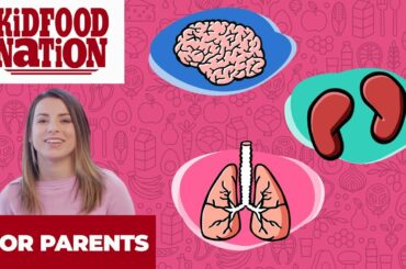 3 HEALTHY FOODS and How They Help Your Body