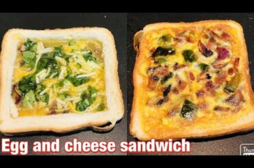 Egg and Cheese Sandwich With Vegetables | Healthy Breakfast Recipe | Quick and Easy Breakfast Recipe