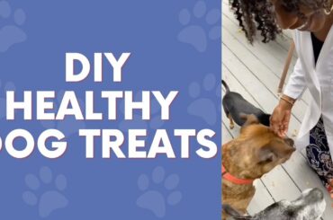 Homemade + Healthy Dog Snacks | Easy Dog Food Recipe - #shorts