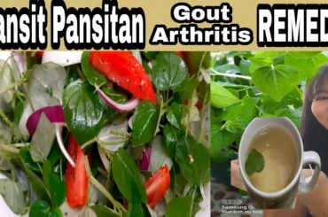 PANSIT PANSITAN SALAD / PEPEROMIA PELLUCIDA /TEA /  PLUS HEALTH BENEFITS